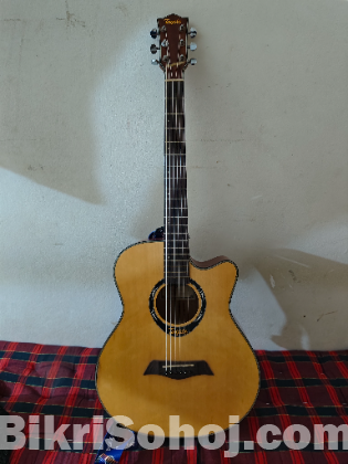 Tayste L2-720A Premium Pure Acoustic Guitar